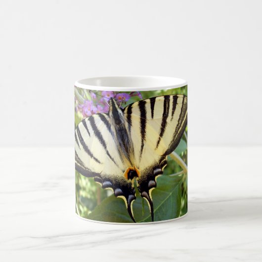 Écarce Swallowtail Button Bug Mug (Centre)