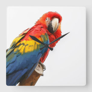 Écarlet Macaw Carré Horloge murale