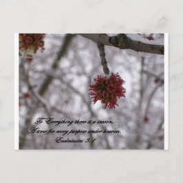 Ecclesiastes 3:1 briefkaart