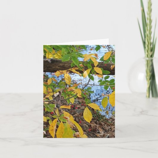 Ecclesiastes 3:1  kaart (Voorkant)