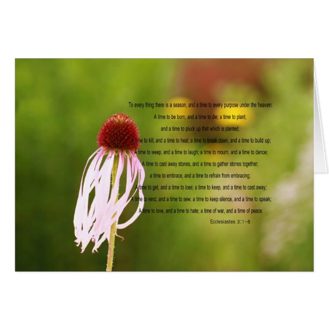 Ecclesiastes Verse-kaart (Voorkant Horizontaal)