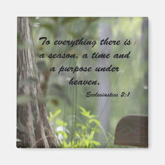 Ecclesiastiek 2:1 magneet