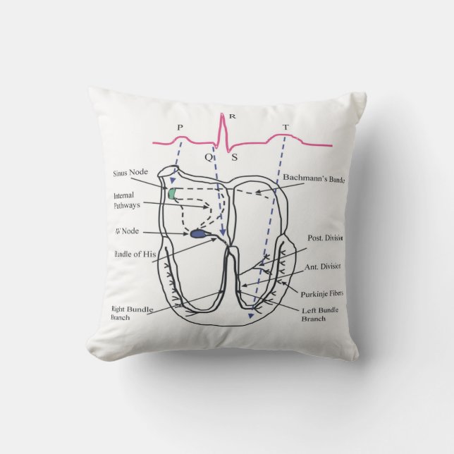 Ecg Kussen (Voorkant)