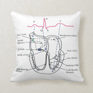 Ecg Kussen