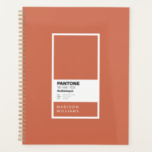 Échantillon de palette de couleurs minimaliste en