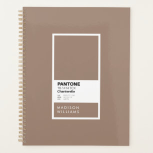 Échantillon de palette de couleurs minimaliste tau