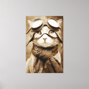 Écharpe Chat Lunettes Vintage Impression Rétro