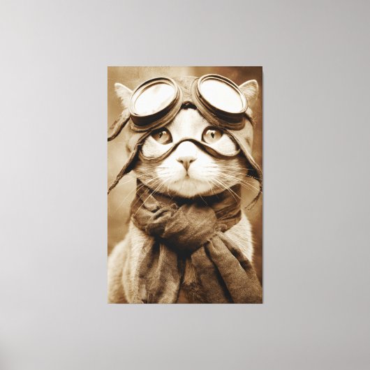 Écharpe Chat Lunettes Vintage Impression Rétro (Recto)