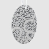 Échelle de serpent noir et blanc (devant)