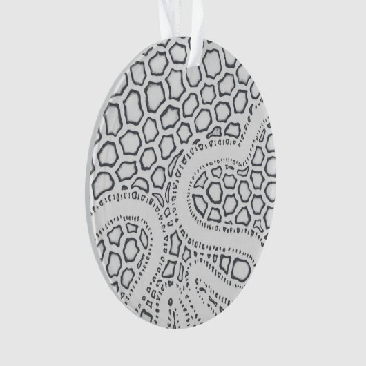 Échelle de serpent noir et blanc (devant)