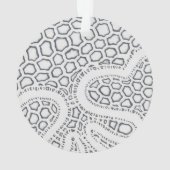 Échelle de serpent noir et blanc (dos)