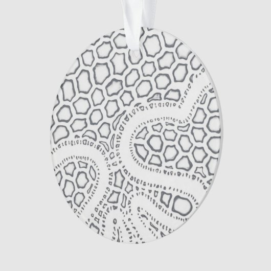 Échelle de serpent noir et blanc (devant)