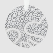 Échelle de serpent noir et blanc (devant)