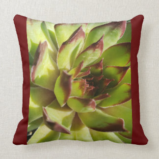 Echeveria Agavoides Pillow Kussen