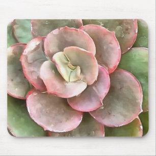 Echeveria Cactus Succulent Acrylverf Muismat