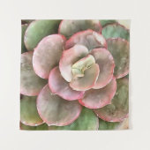 Echeveria Cactus Succulent Acrylverf Wandkleed (Voorkant (horizontaal))