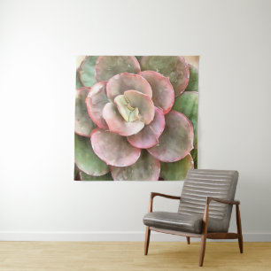 Echeveria Cactus Succulent Acrylverf Wandkleed