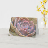  Echeveria Cactus Succulent Art Note Kaart (Gele Bloem)