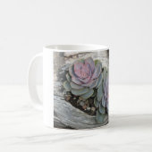 Echeveria Mug Succulent (Devant gauche)