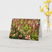 Echeveria notecard kaart (Gele Bloem)