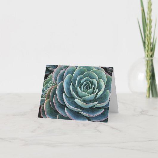 Echeveria notecard kaart (Voorkant)