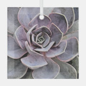 ECHEVERIA-PLANT (SAPPIG) GLAS ORNAMENT (Voorkant)