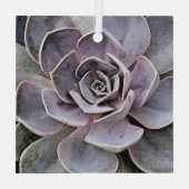 ECHEVERIA-PLANT (SAPPIG) GLAS ORNAMENT (Achterkant)