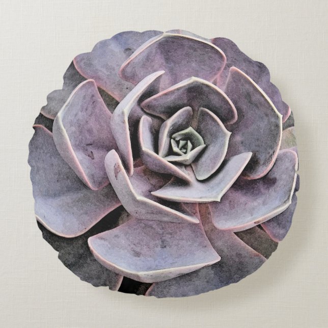 Echeveria "roos" succulent rond kussen (Voorkant)