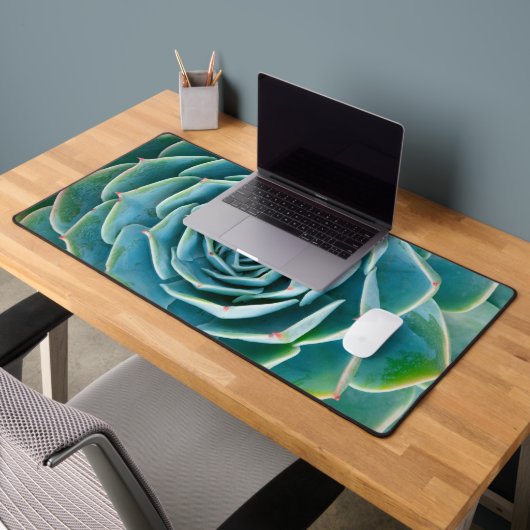 Echeveria Rosette, Secret Garden of Marrakech (Bureau 2)