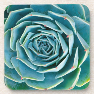 Echeveria rozet, Geheimtuin van Marrakech Bier Onderzetter