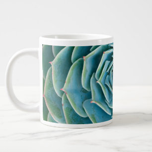 Echeveria rozet, Geheimtuin van Marrakech Extra Grote Beker