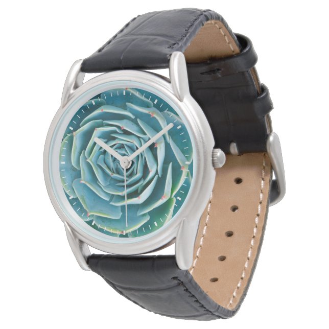 Echeveria rozet, Geheimtuin van Marrakech Horloge (Gekanteld)