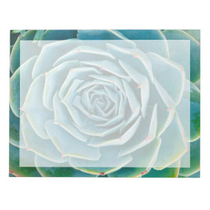 Echeveria rozet, Geheimtuin van Marrakech Notitieblok