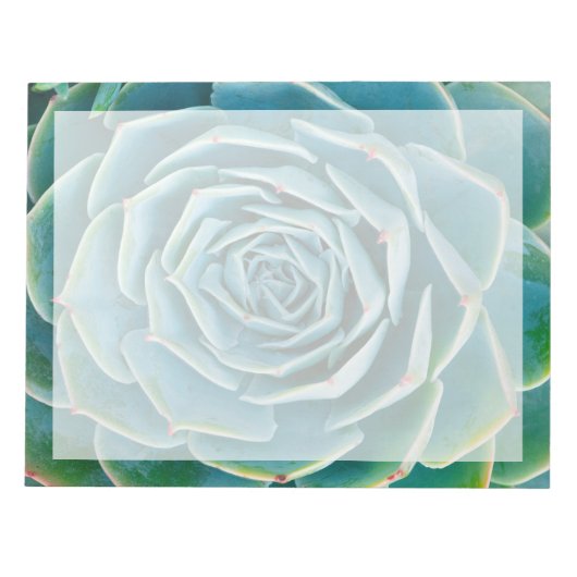 Echeveria rozet, Geheimtuin van Marrakech Notitieblok (Voorkant)