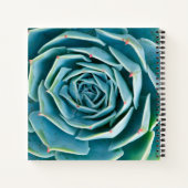 Echeveria rozet, Geheimtuin van Marrakech Notitieboek (Achterkant)