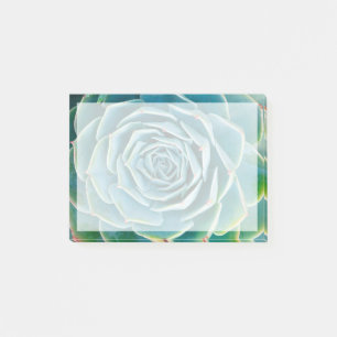 Echeveria rozet, Geheimtuin van Marrakech Post-it® Notes
