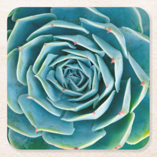 Echeveria rozet, Geheimtuin van Marrakech Vierkante Kartonnen Onderzetter