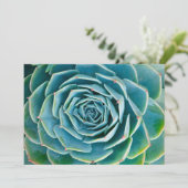 Echeveria rozet, Geheimtuin van Marrakesh Bedankkaart (Staand voorkant)