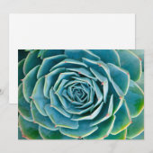 Echeveria rozet, Geheimtuin van Marrakesh Bedankkaart (Voorkant / Achterkant)