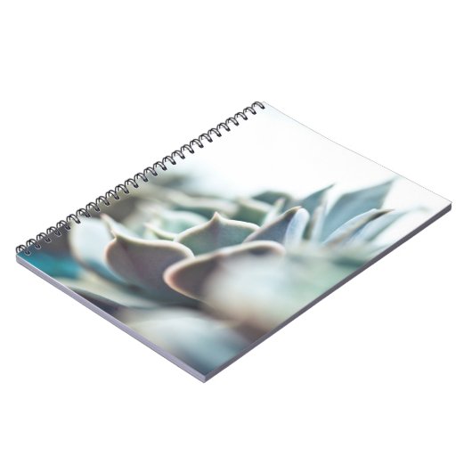Echeveria succulent notitieboek (Linkerzijde)