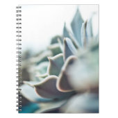 Echeveria succulent notitieboek (Voorkant)