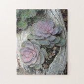 Echeveria Succulent Puzzle (Vertical)