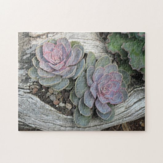 Echeveria Succulent Puzzle Legpuzzel (Horizontaal)