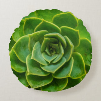 Echeveria Succulent Round Pillow Rond Kussen