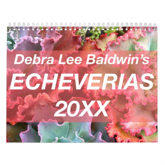 Echeverias 20XX kalender van Debra Lee Baldwin (Hoes)