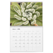 Echeverias Succulent 12 maanden Kalender (Mar 2026)