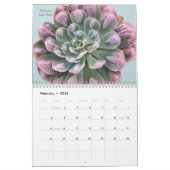 Echeverias Succulent 12 maanden Kalender (Feb 2026)