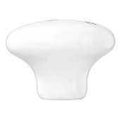 Echidna animal aquarelle whimsy art bouton (Côté)