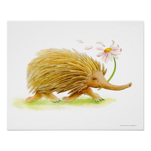 Echidna aquarelle blanc affiche d'art (Devant)