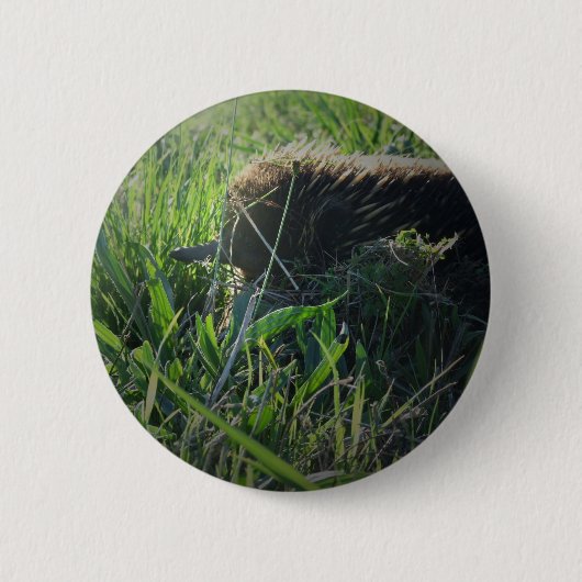 Echidna-Button Ronde Button 5,7 Cm (Voorkant)